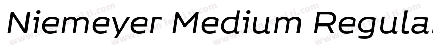 Niemeyer Medium Regular字体转换